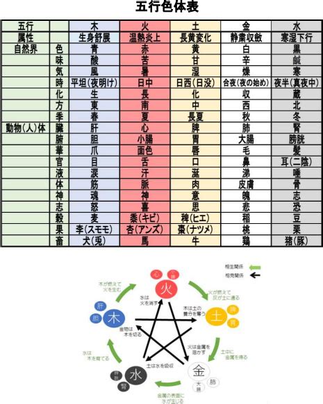 五行色体表 pdf|～五行の色体表～